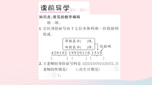什么是数字编码三年级