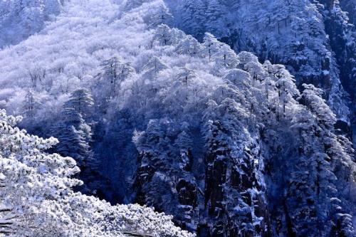 冬雪名字含义是什么意思