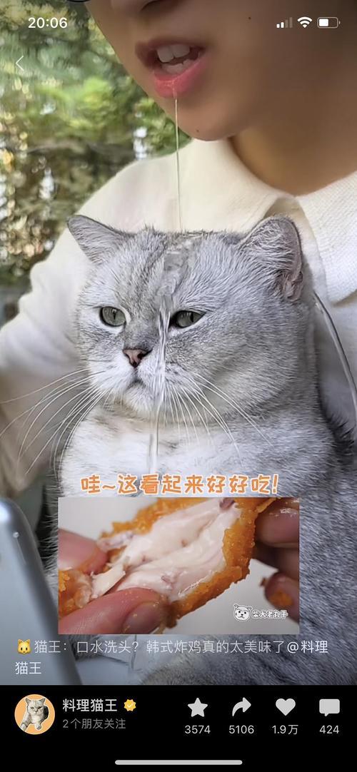 料理猫王真的上电视了吗