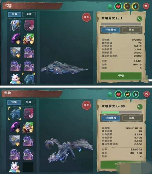 创造与魔法一周骨龙刷几只