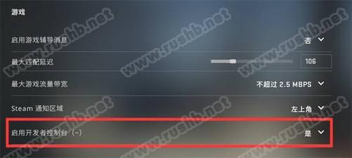 csgo底部参数怎么开启