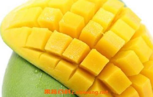 青驼果是什么
