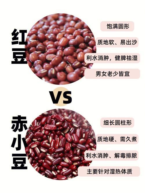 红豆和赤小豆哪个适合做奶茶