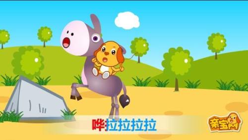 大马与小毛驴大结局