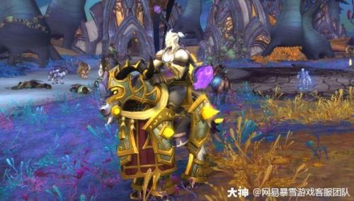 魔兽世界9.27防御最高的盟约