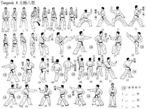 空手道品势教学