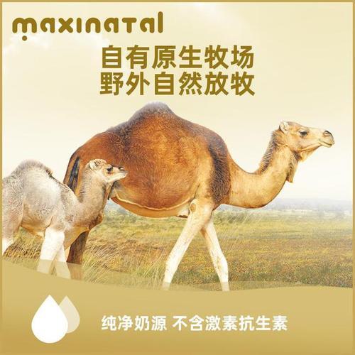 卖驼奶有市场前景吗