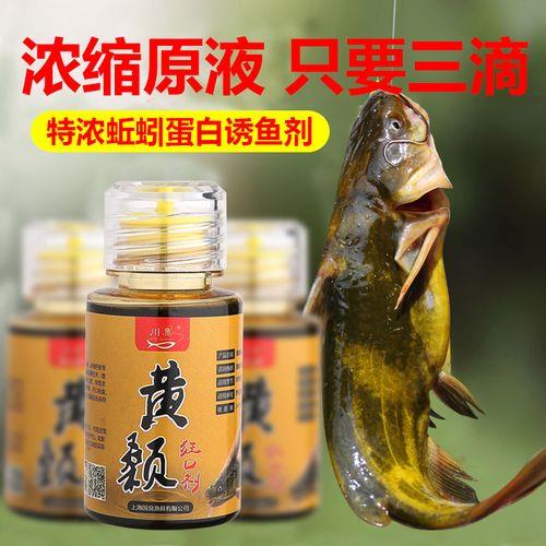 钓黄尾用什么饵料好