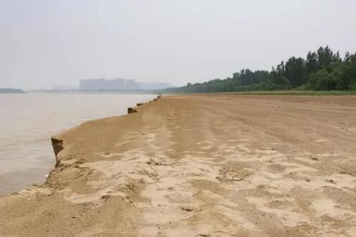 黄河泥沙可以种植吗