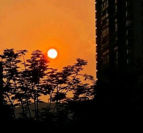 那时候心比天高文案什么意思