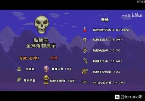 泰拉瑞亚神明吞噬者，掉落物