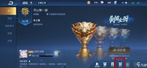 王者荣耀战队信物可以兑换什么