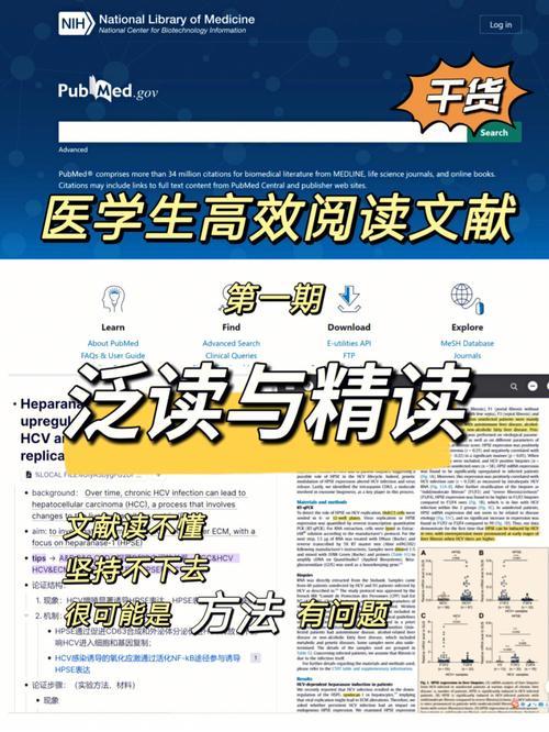 精读课和泛读课的区别是什么