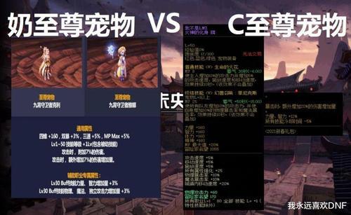dnf2021鹦鹉怎么样