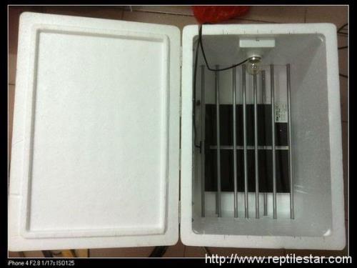 水床孵化为啥不能盖泡沫箱盖子