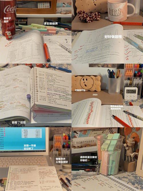 用我所学尽我所能什么意思