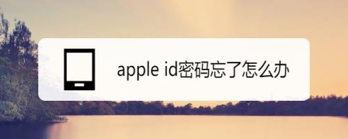 苹果密码忘了id密码也忘了
