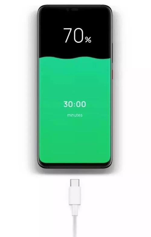 iphonex电池九十充满电能续航多久