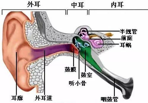 人耳能够承受的最大音量是多少