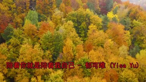 你陪我左右原唱