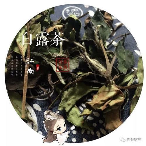 白露秋茶上市时间