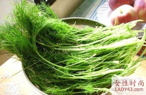 窝鸡菜能生吃吗