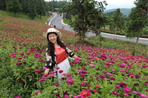 野三关花海什么季节花最多