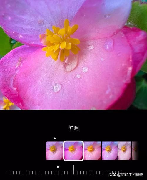 苹果6可以拍实况吗