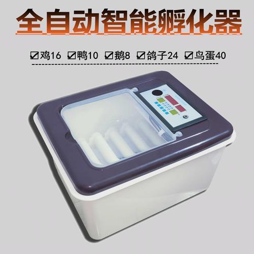 水床孵化鸭子的最佳温度是多少
