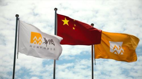 华润的来历