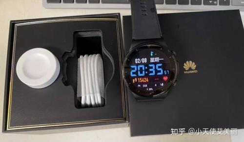 华为gt2充不进电