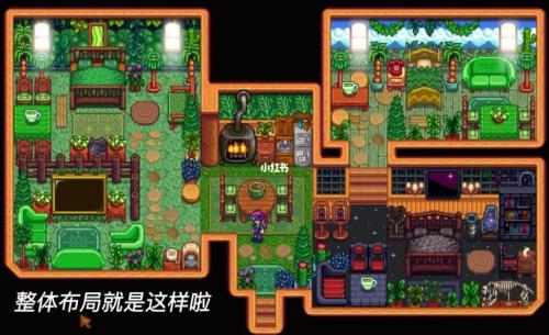 星露谷物语一捆苋菜去哪弄