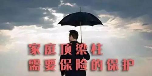 主险风险保障费是啥意思