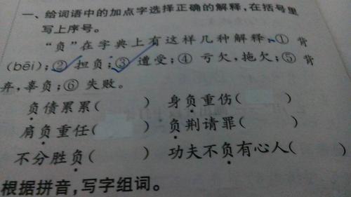 养'可以组什么词