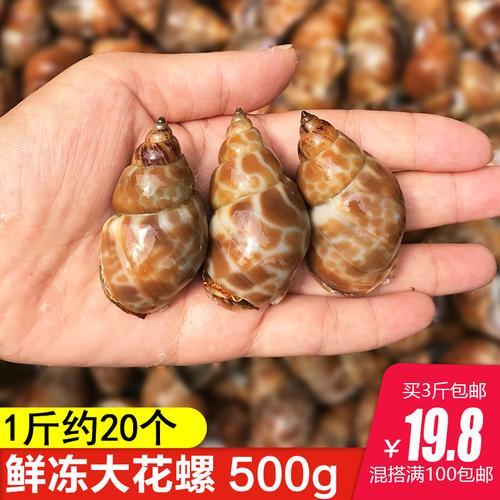 河里小海螺吃什么