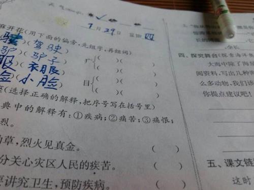 区可以组什么词