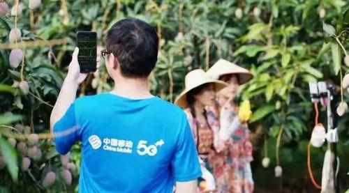 户外直播上行网速最低多少