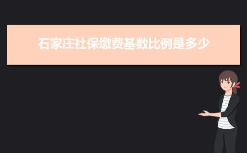 2020年石家庄保险缴费基数比例