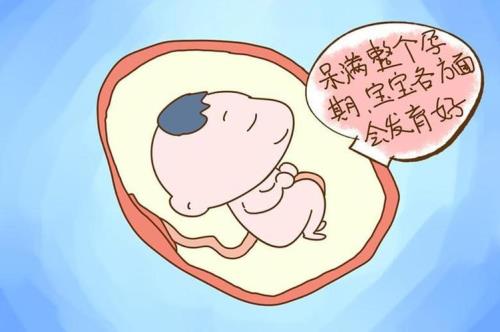 38周是多少岁
