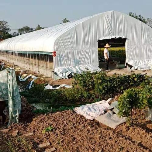 钢管棚搭建方法