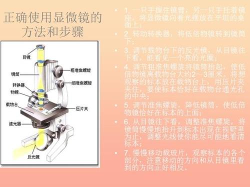 什么叫做微小放大观察法