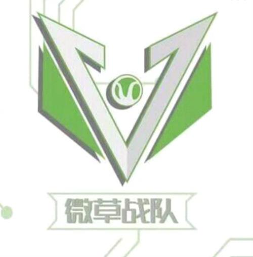 舞立方战队队徽有什么用