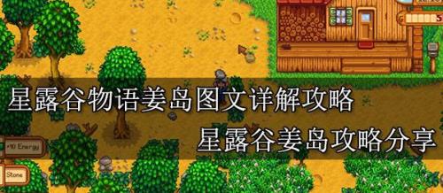 星露谷物语姜岛详细流程