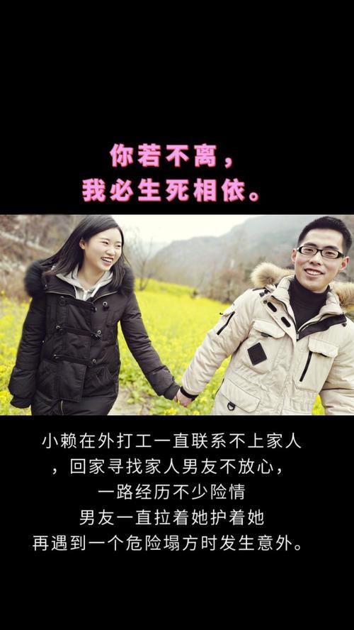 你若相惜我便相依的句子
