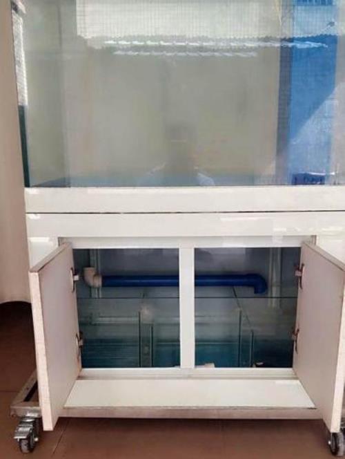 500升水鱼缸加几片vc