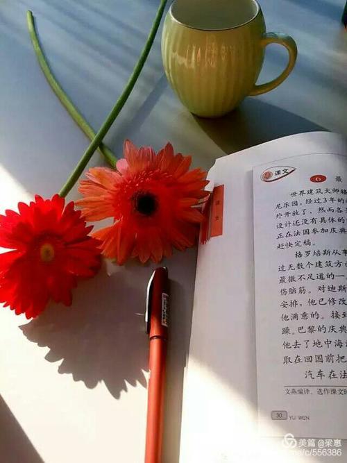 做一个明媚的女子，是什么意思