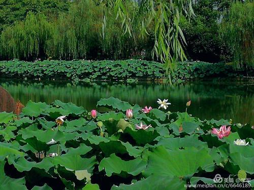 江南九月风景句子