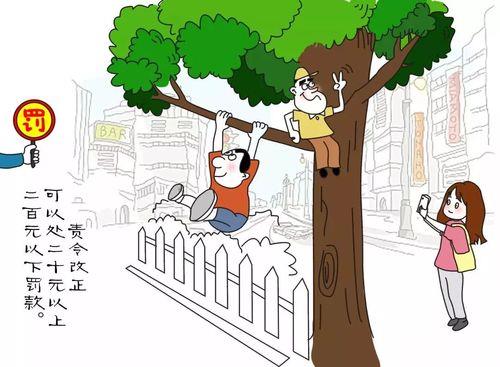城市树木管理条例