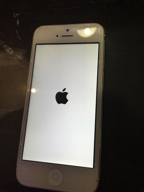 iphone6spuls开机亮一下就关机
