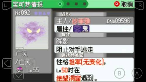究极绿宝石5迷布莉姆性格
